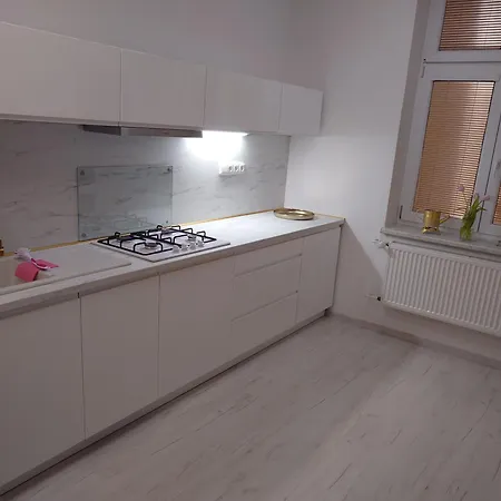 V Historickém Centru Ostravy Apartamento